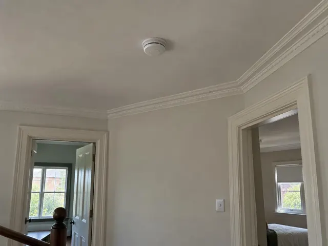 Ceiling-mounted smoke alarm on a painted room ceiling with decorative cornices and doorways in Haberfield